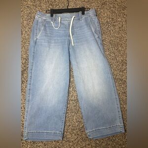 Torrid Light Blue Wide Leg Jeans